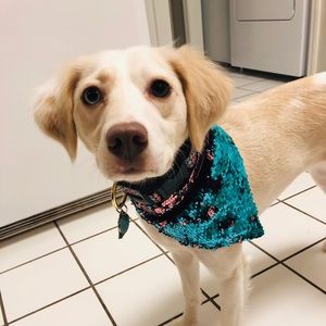 Meet your Posher, Haley